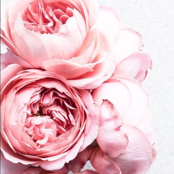pinkpeonies934